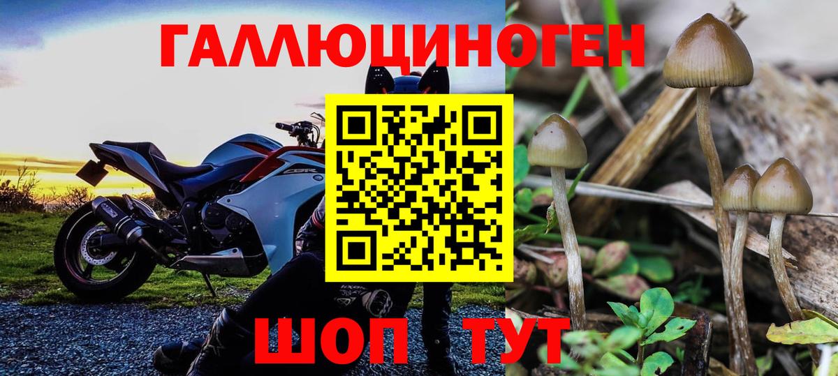 Галлюциногенные грибы GOLDEN TEACHER Кыштым