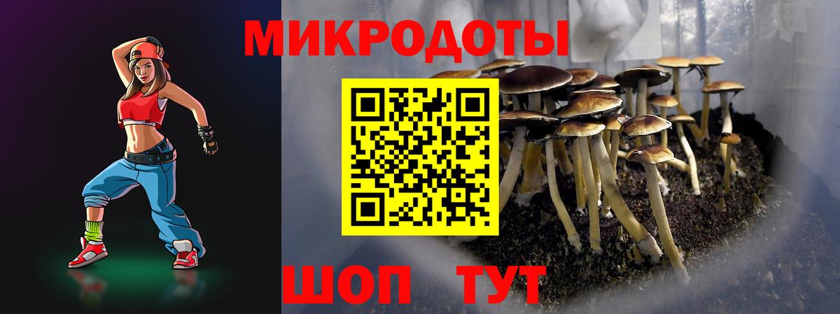Псилоцибиновые грибы Cubensis  Вход с VPN  Кыштым  Галлюциногенные грибы MAGIC MUSHROOMS 